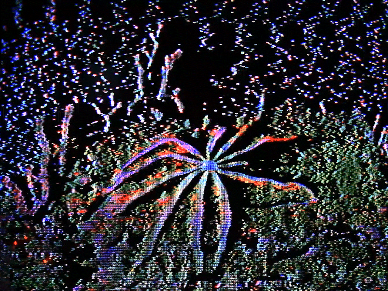 light and dark matter by bosquegracias